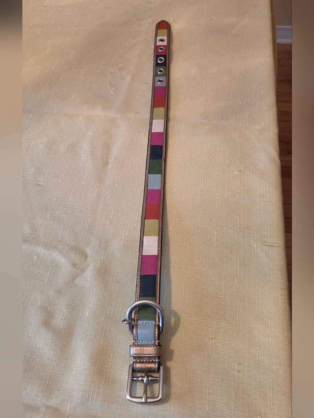Coach Dog Collar Stripped Multicolor Leather